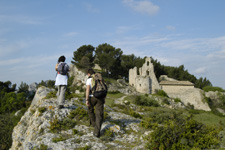 France-Provence-Van Gogh's Footsteps